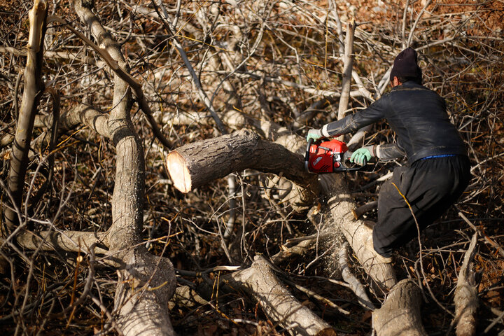 بیابانزایی البرز نتیجه رفتار نادرست انسان با طبیعت