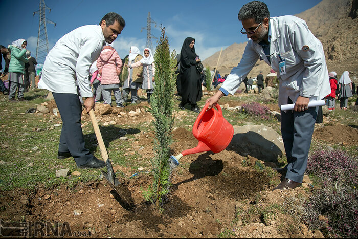 پرورش۷۰ هزار درختچه برای استفاده در بوستان‌های قزوین