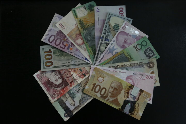 نرخ رسمی یورو و ۳۱ ارز دیگر کاهش یافت
