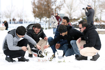 جشنواره آدم برفی در همدان