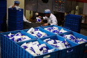 صادرات شیر خشک زمینه‌ساز بازارهای جدید صادراتی و حفظ اشتغال می‌شود