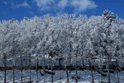 سردشت پربارش‌ترین شهر آذربایجان‌غربی در شبانه‌روز گذشته بود