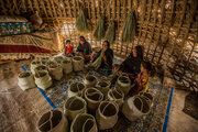 رشد ۲۶.۸ درصدی زنان سرپرست خانوار