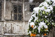 برف و باران مهمان گیلانی‌ها؛ دستگاه‌ها به حالت آماده‌باش درآمدند