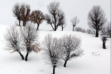 طبیعت برفی بانه