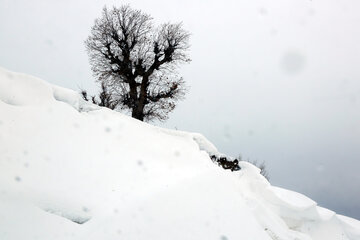 طبیعت برفی بانه