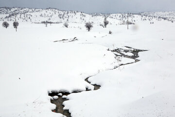 طبیعت برفی بانه