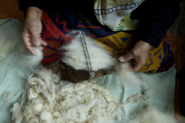 موسسه خیریه آرکا