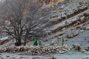 مخمل کوه لرستان