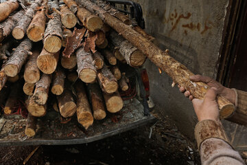 کشف زغال و چوب جنگلی قاچاق در ملایر