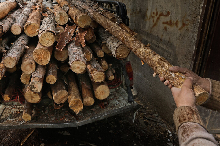 اقدامات فرهنگی، راهکار مقابله با قاچاق چوب در گلستان