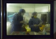  ۲۰۰ عضو کادر درمانی گلستان به کرونا مبتلا شدند