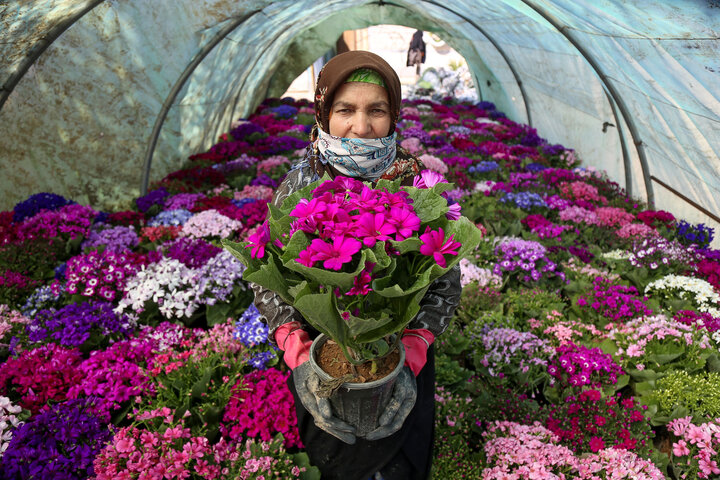 ۴۶۹ هکتار شهرک کشاورزی، پیشران توسعه در اقتصاد آذربایجانغربی