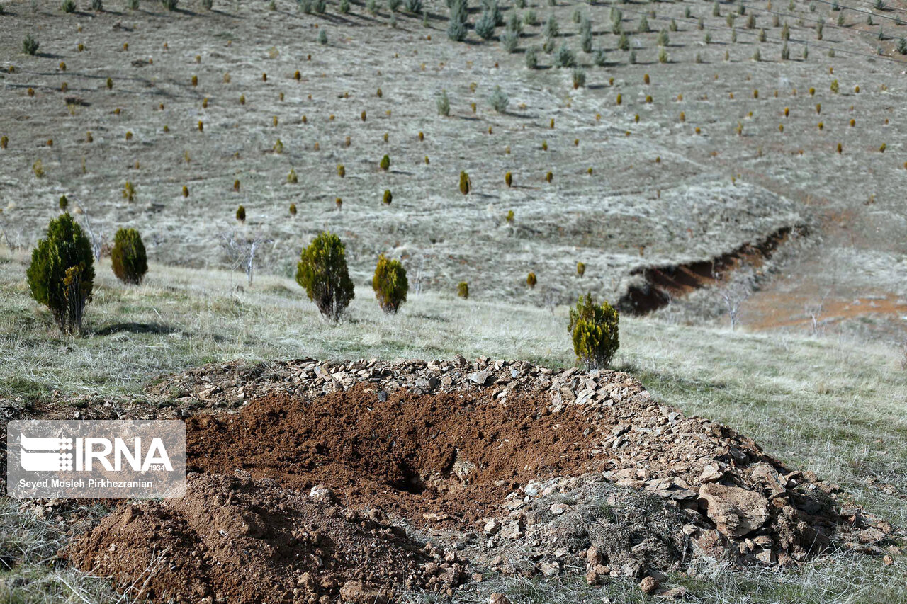 ۱۰۰ هکتار جنگل کرمانشاه با نهالکاری احیا شد ۱۰۰ هکتار جنگل کرمانشاه با نهالکاری احیا شد