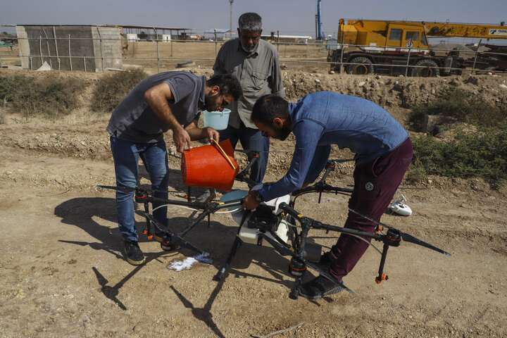 ضرورت آمادهباش برای مقابله با هجوم احتمالی ملخ صحرایی
