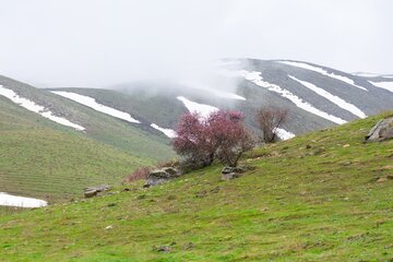 ایرانی شمالی علاقوں کی خوبصورت وادی