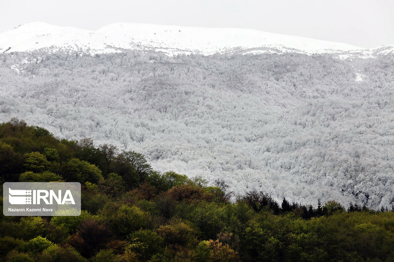آسمان گیلان تا اواسط هفته آفتابی و با افزایش دما همراه است آسمان گیلان تا اواسط هفته آفتابی و با افزایش دما همراه است