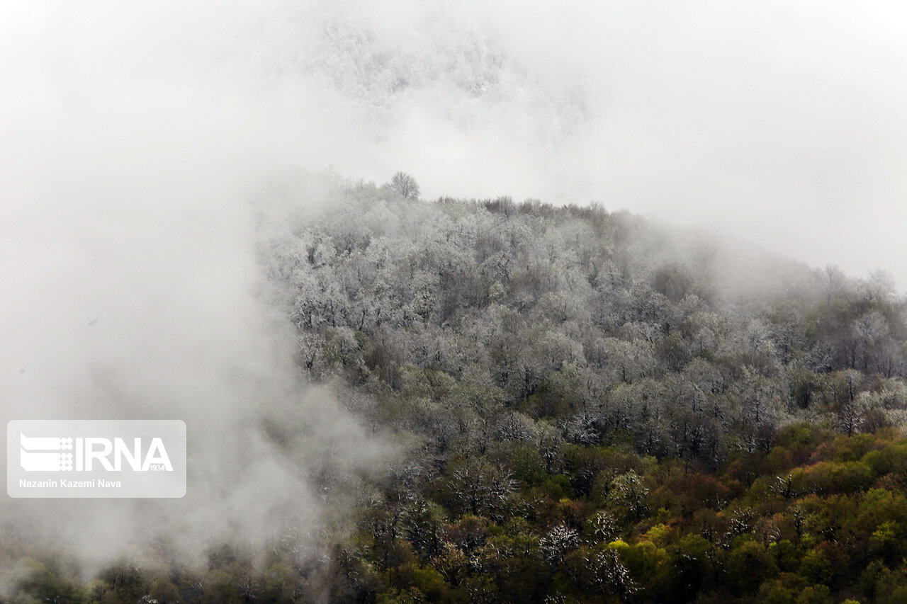 باران تا آخر هفته در گیلان تداوم دارد باران تا آخر هفته در گیلان تداوم دارد