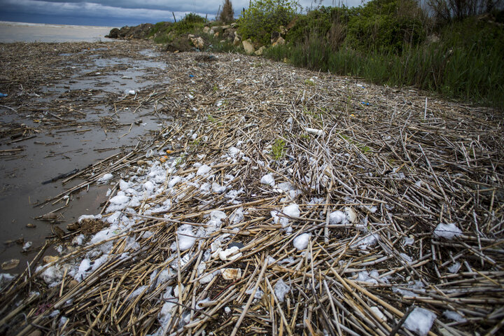 فراوانی پلاستیک‌های‌خُرد در رودخانه‌های شمال کشور