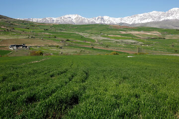 پیش‌بینی جوی آرام و آسمانی آفتابی برای اغلب مناطق کشور