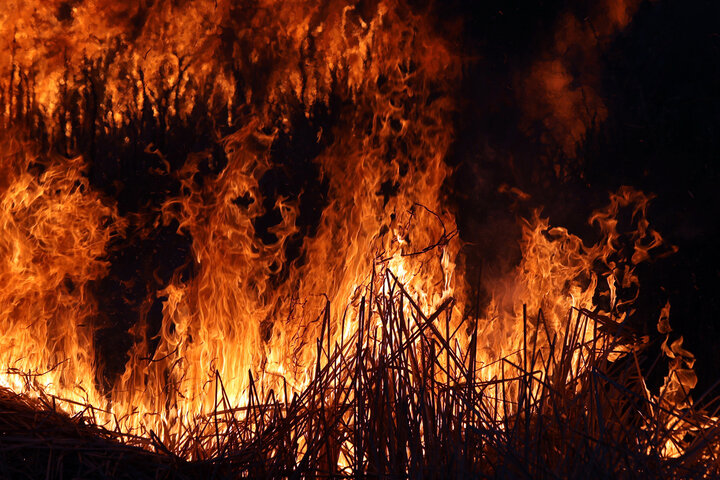 هشدار محیط زیست درباره آتش‌سوزی در جنگل‌ها و مراتع مازندران