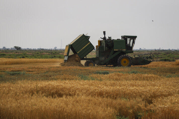 تحول اقتصادی فارس با علمی شدن کشاورزی؛ مسیری دشوار اما ضروری