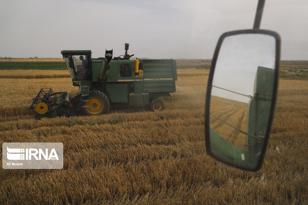 خرید تضمینی گندم در کشور آغاز شد/ قیمت خرید تضمینی ۴ هزار تومان خرید تضمینی گندم در کشور آغاز شد/ قیمت خرید تضمینی ۴ هزار تومان