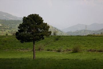 Kusalan, la novia de las montañas de Uraman