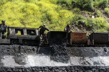 ۱۵ درصد نیاز زغال سنگ کشور در گلستان استخراج می‌شود