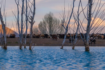 Zone touristique de Zalian Chazand au Centre de l’Iran

