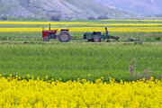 مکانیزاسیون کشاورزی خراسان شمالی به ۷۹.۵ درصد رسیده است