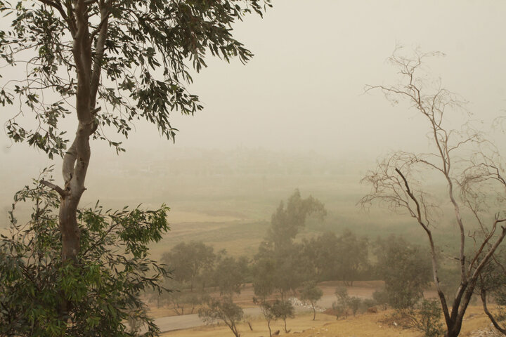 گام بلند دولت در زدودن گرد و غبار / احیای تالاب صالحیه البرز