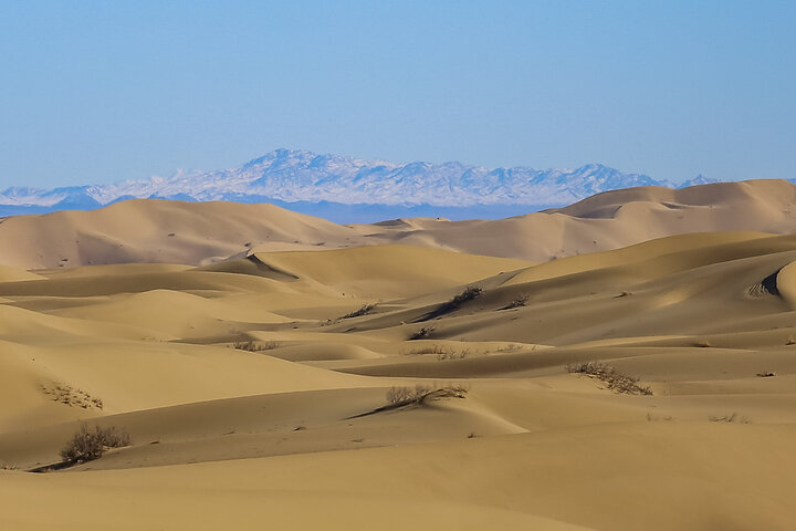 ۲۶ استان در معرض توفان گرد و غبار/جزییات گسترش کانونهای داخلی تولید ریزگرد
