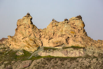 Castillo de cigüeñas en Zanyán
