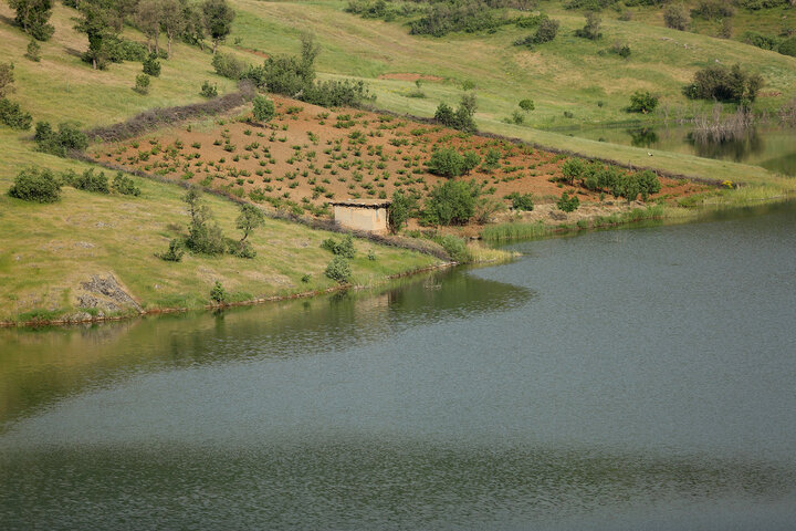 بهرهوری از منابع آبی و رشد ناخالص داخلی؛ ۲ اقدام موثر در بخش کشاورزی