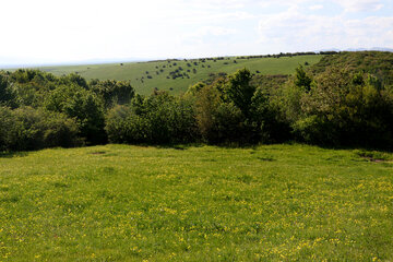 طیبیعت بهاری دامنه های سبلان