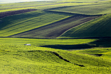 طیبیعت بهاری دامنه های سبلان