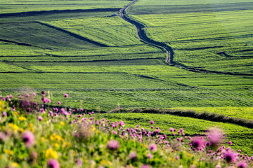 طیبیعت بهاری دامنه های سبلان