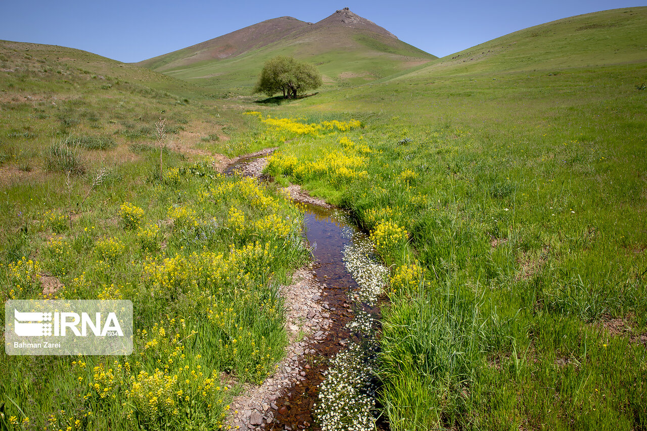 شادمانههای نوروزی در بهار کرونایی گناباد شادمانههای نوروزی در بهار کرونایی گناباد