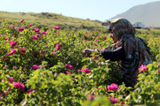 ۳۲ صندوق اعتباری خرد زنان روستایی در استان مرکزی فعال است