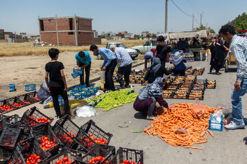 ساماندهی میوه‌فروشان مستقر در جاده‌های ورودی گنبدکاووس ضروری است