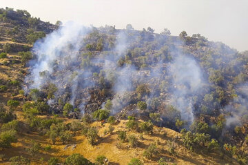 نگرانی افزایش آتش‌سوزی در مناطق/همکاری وزارت دفاع برای تامین بالگرد