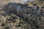 آتش بی‌احتیاطی دامن بوستان‌های شهری بجنورد را گرفت