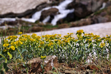 طبیعت کوهستانی ارومیه‎