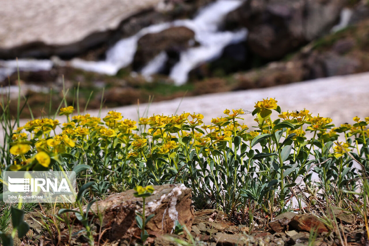 آخر هفته بهاری را در شهر فرنگ کتابها بگذرانید آخر هفته بهاری را در شهر فرنگ کتابها بگذرانید