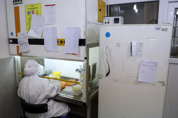 ۵۲ مورد جدید ابتلا به بیماری کووید۱۹ در استان مرکزی شناسایی شد