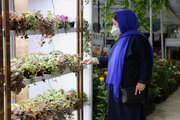 چهاردهمین نمایشگاه گل و گیاه در تبریز