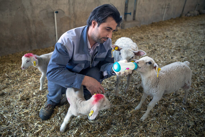 خطر اگروتروریسم در اقتصاد را جدی بگیریم