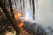 ۱.۶ هکتار از عرصه‌های جنگلی گلستان در آتش سوخت