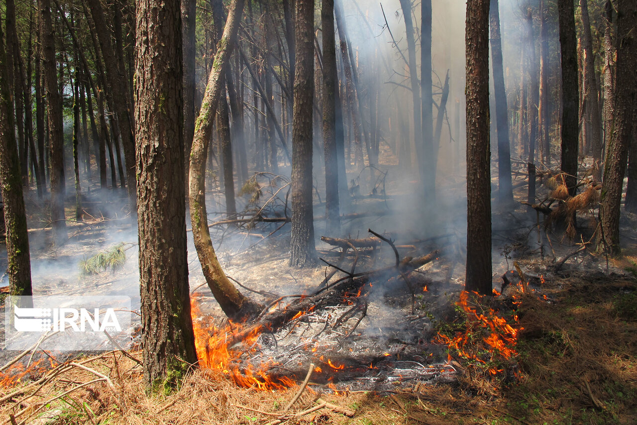 ۱۷۴ هکتار از جنگل ها و مراتع گیلان دچار حریق شد ۱۷۴ هکتار از جنگل ها و مراتع گیلان دچار حریق شد